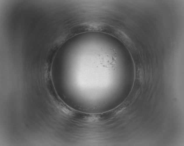 X0000071810318200606301234