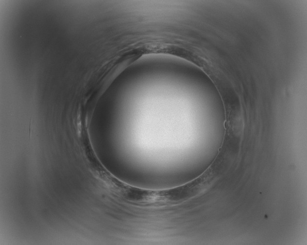 X0000071810319200606301233