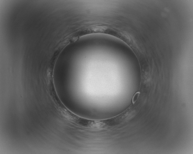 X0000071810321200606301233