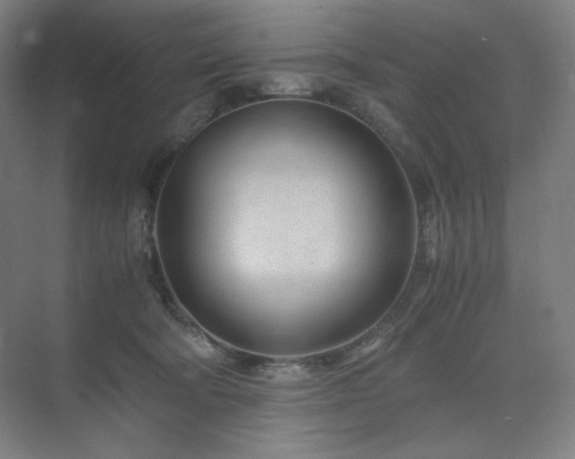 X0000071810322200606301233