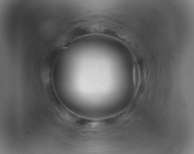 X0000071810323200606301233