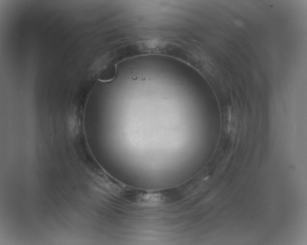 X0000071810324200606301233