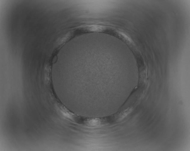 X0000071810325200606301233