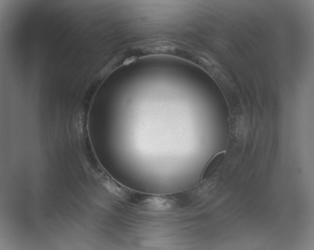 X0000071810326200606301233