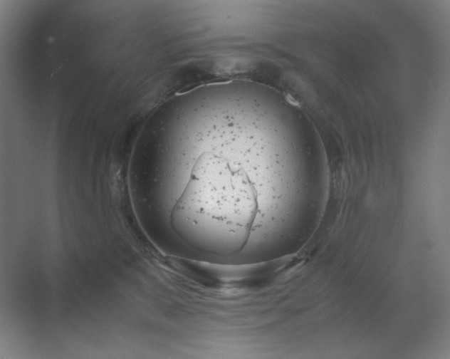 X0000071810327200606301233