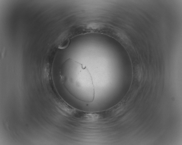 X0000071810328200606301233