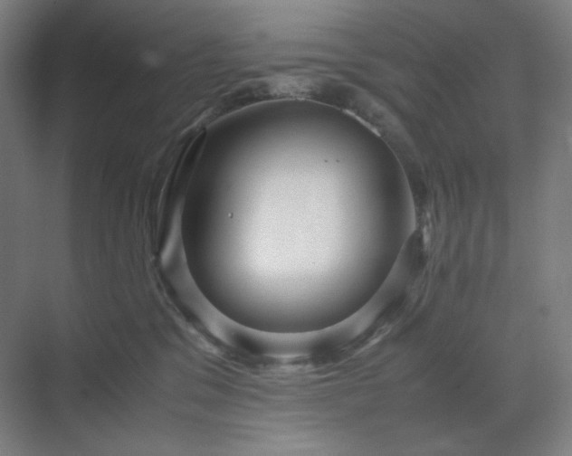 X0000071810329200606301233