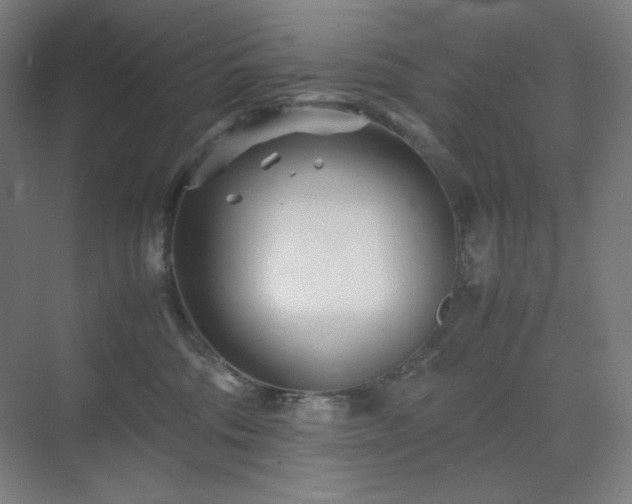 X0000071810330200606301233