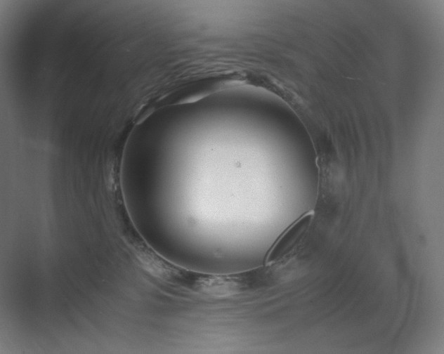 X0000071810331200606301233