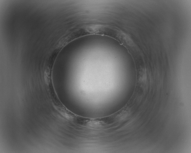 X0000071810332200606301233