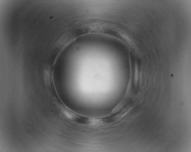 X0000071810333200606301233