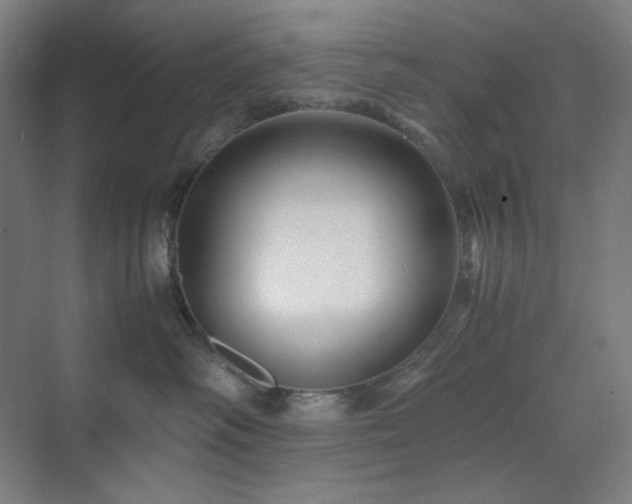 X0000071810334200606301233