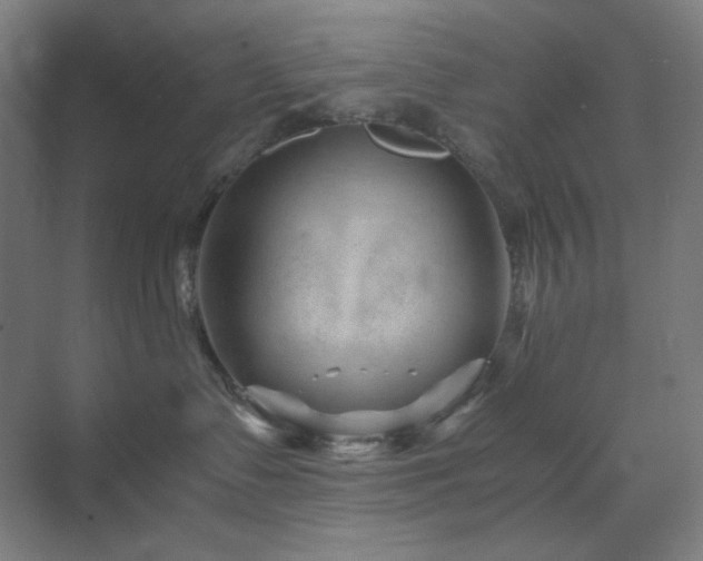 X0000071810335200606301233