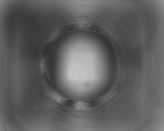 X0000071810336200606301233