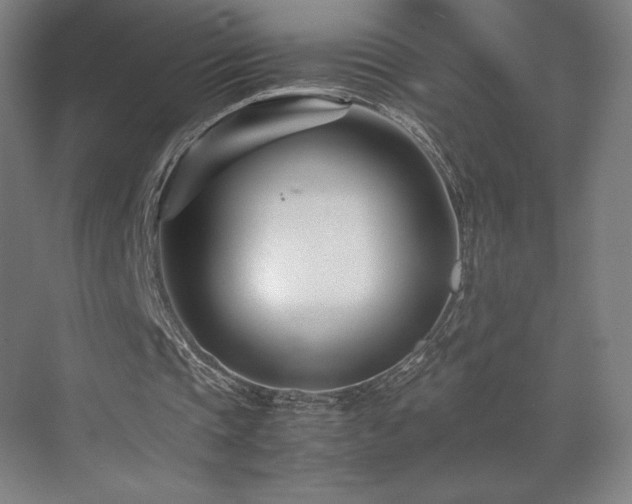 X0000071810337200606301232