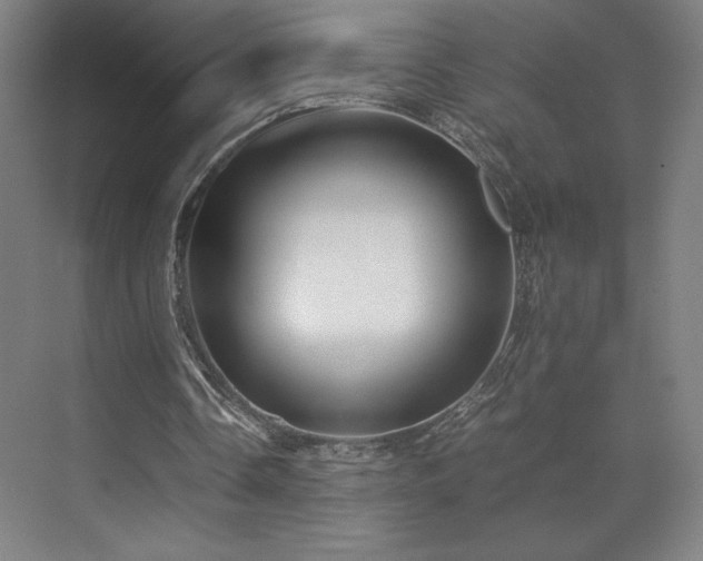 X0000071810338200606301232