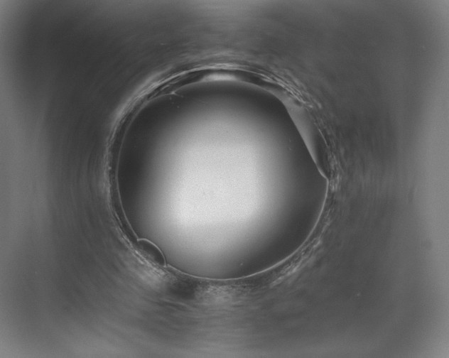 X0000071810341200606301232