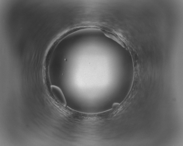 X0000071810342200606301232