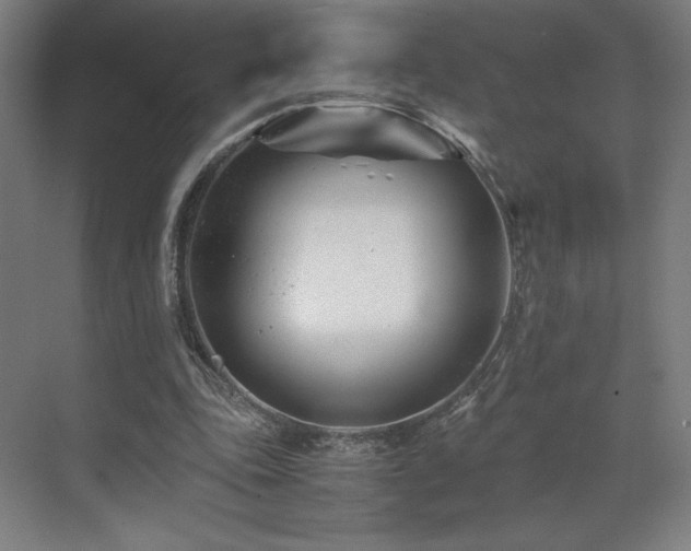 X0000071810343200606301232