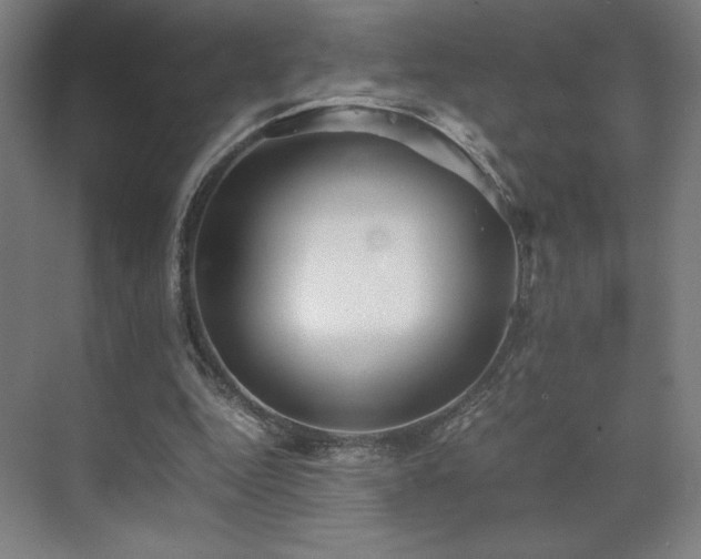 X0000071810344200606301233