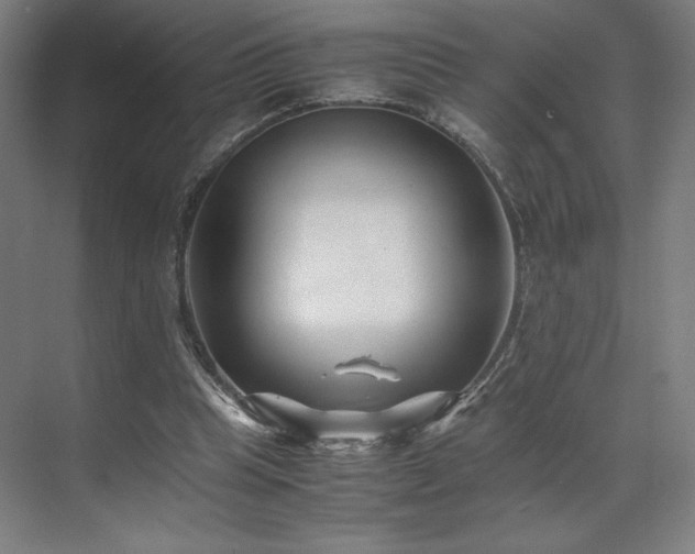 X0000071810345200606301233