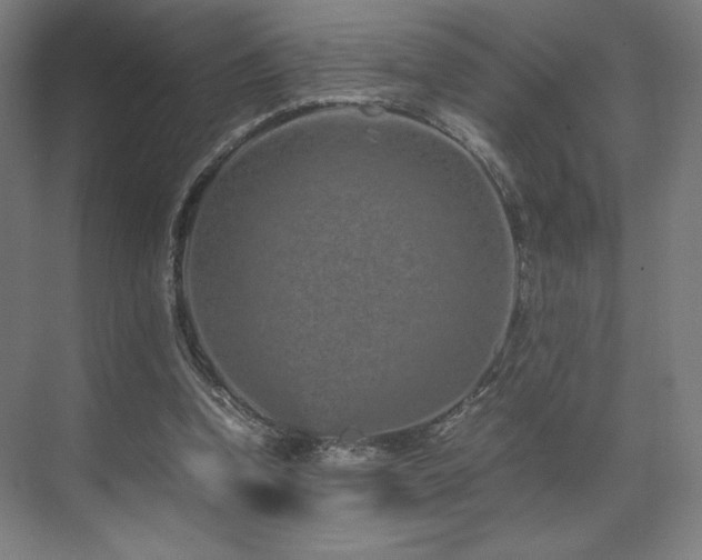 X0000071810346200606301233