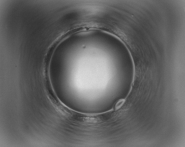 X0000071810347200606301233