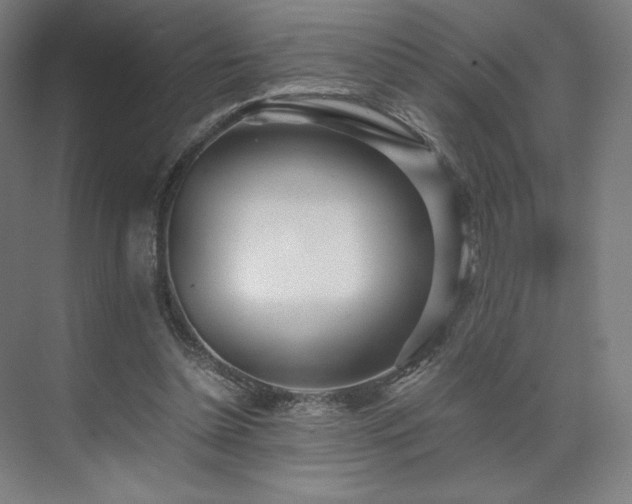 X0000071810348200606301233