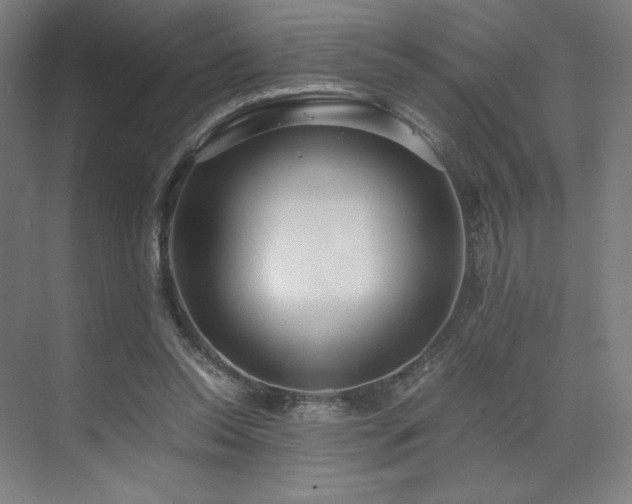 X0000071810350200606301233