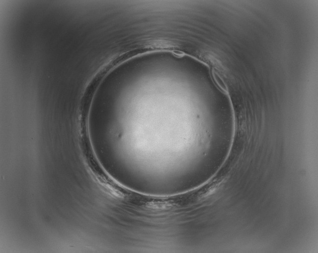 X0000071810351200606301233