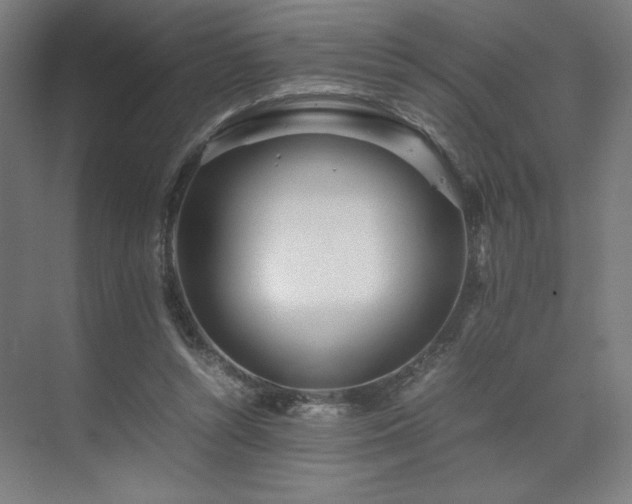 X0000071810352200606301233