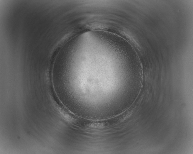 X0000071810353200606301233