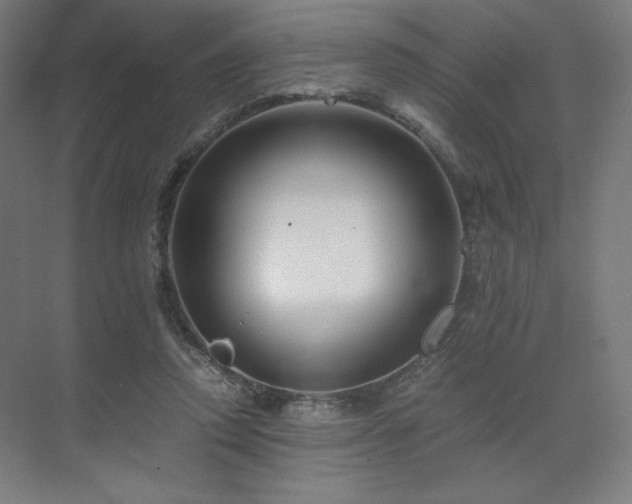 X0000071810354200606301233