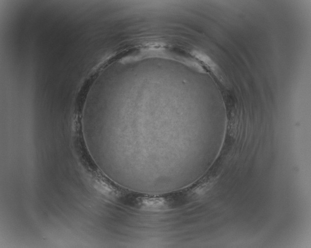 X0000071810355200606301233