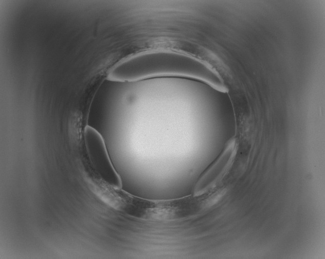 X0000071810356200606301233