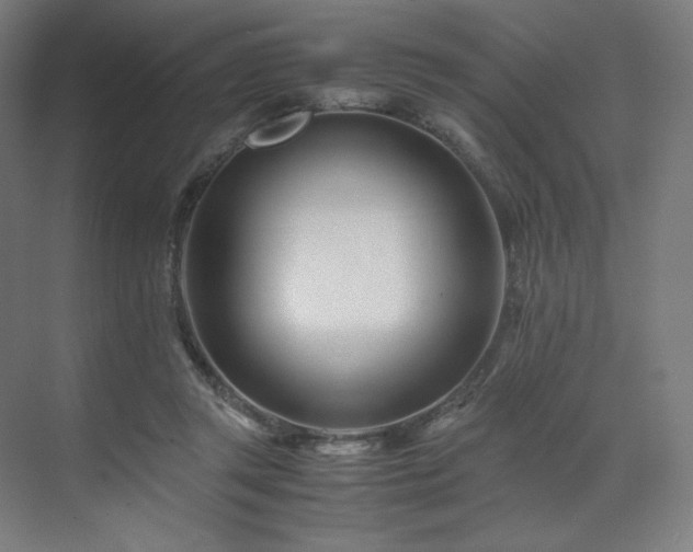 X0000071810357200606301233