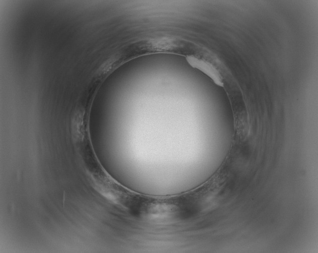 X0000071810360200606301233