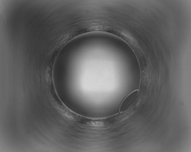 X0000071810361200606301233