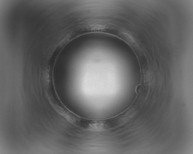 X0000071810362200606301233