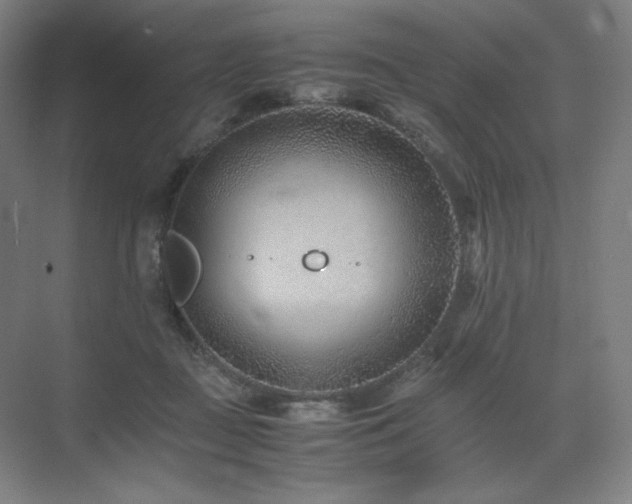 X0000071810363200606301233