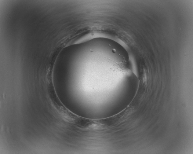 X0000071810364200606301233