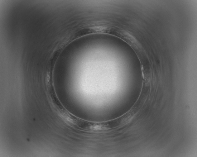 X0000071810365200606301233