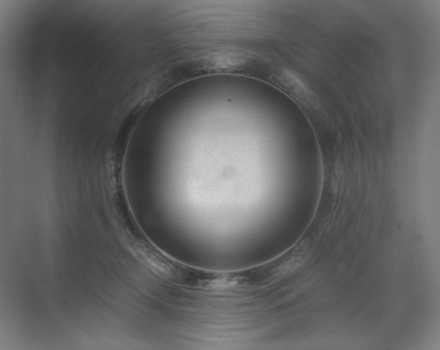 X0000071810366200606301233