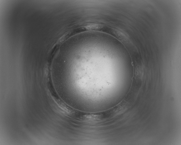 X0000071810367200606301233