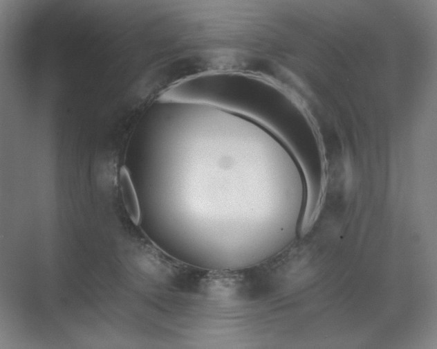 X0000071810368200606301233