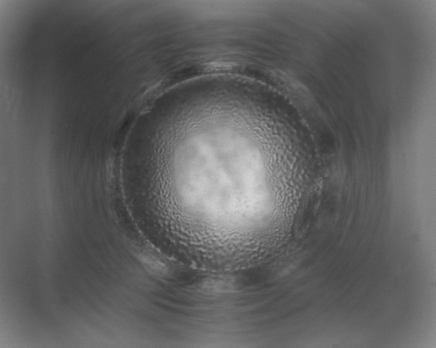 X0000071810369200606301233