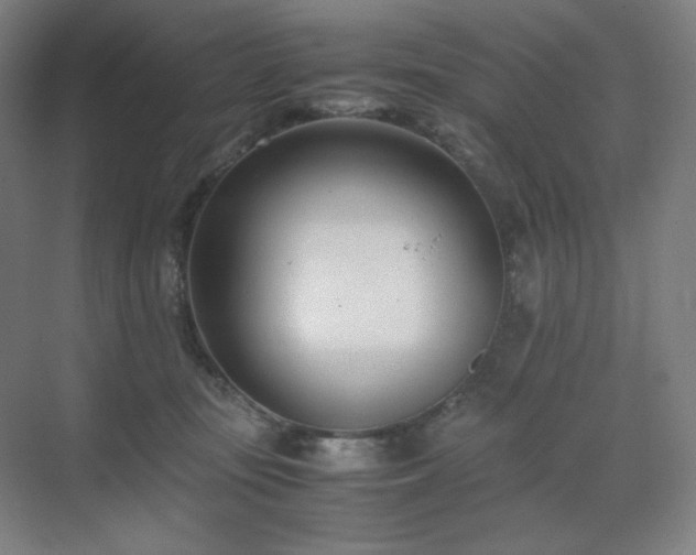 X0000071810371200606301233