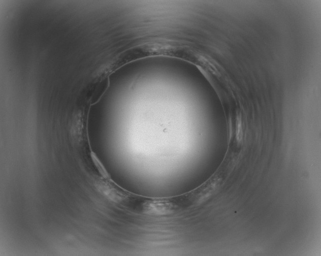 X0000071810372200606301233