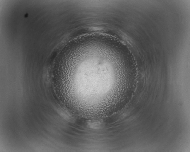 X0000071810373200606301233