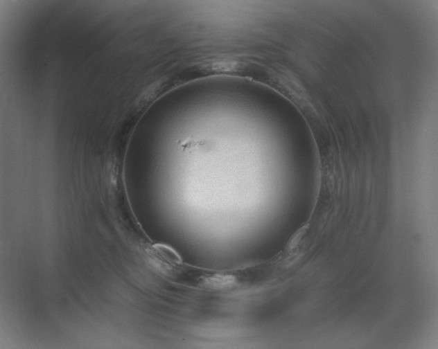 X0000071810374200606301233